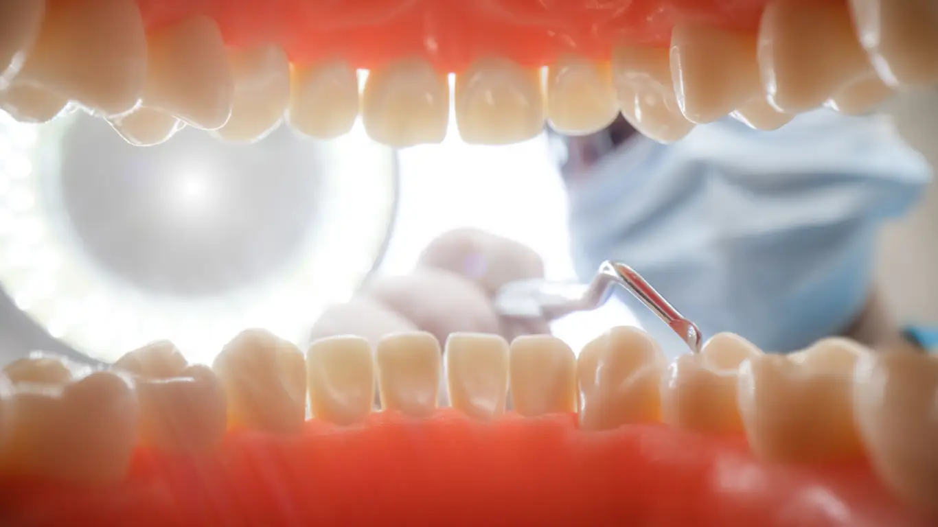 The Importance Regular Dental Check-Ups